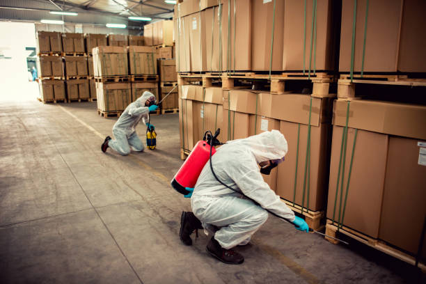Professional Pest Control in First Mesa, AZ