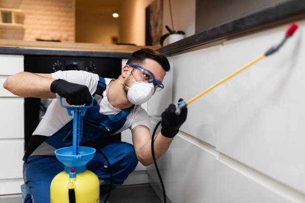 Best Best Pest Control Near Me  in First Mesa, AZ