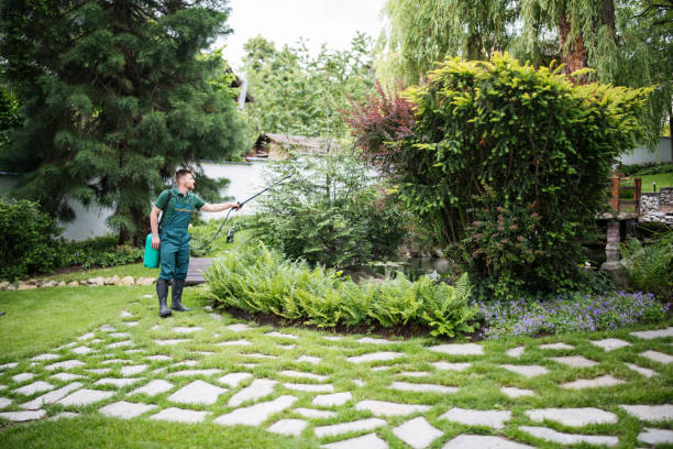 Best Local Pest Control Services  in First Mesa, AZ