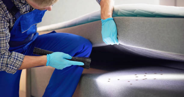 Best Residential Pest Control  in First Mesa, AZ