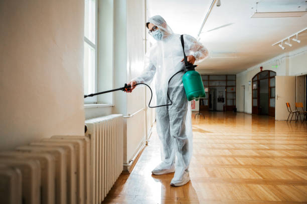 Best Pest Control Near Me in First Mesa, AZ